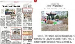 北京日报最新爆料,揭秘最新重大事件内幕