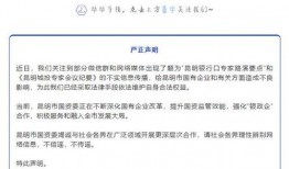 昆明城投最新爆料消息,揭秘巨额投资背后的真相与挑战